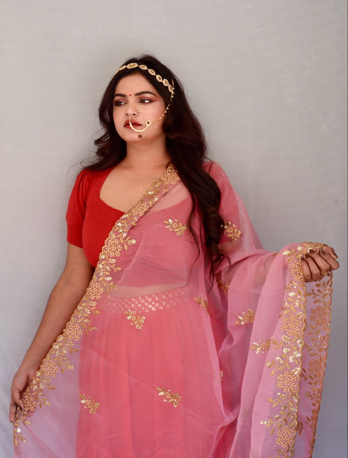 Pink Zari and Sippi Border Organza Dupatta - Vaaniari