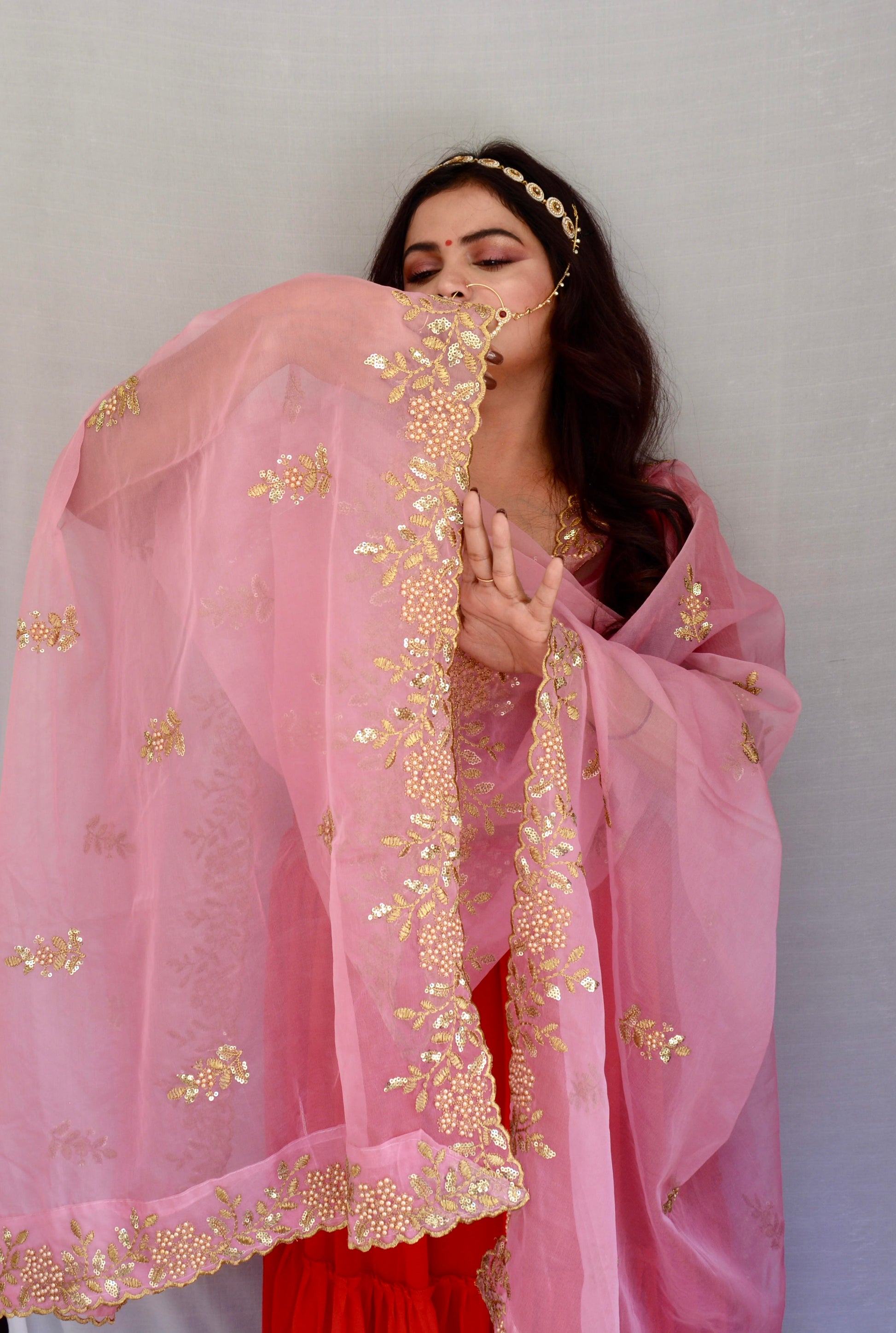 Pink Zari and Sippi Border Organza Dupatta - Vaaniari