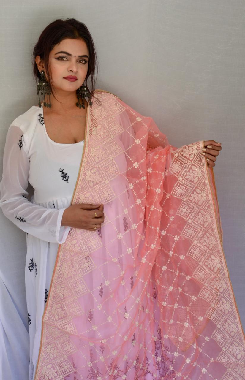 Pink Organza Embroidered Dupatta - Vaaniari