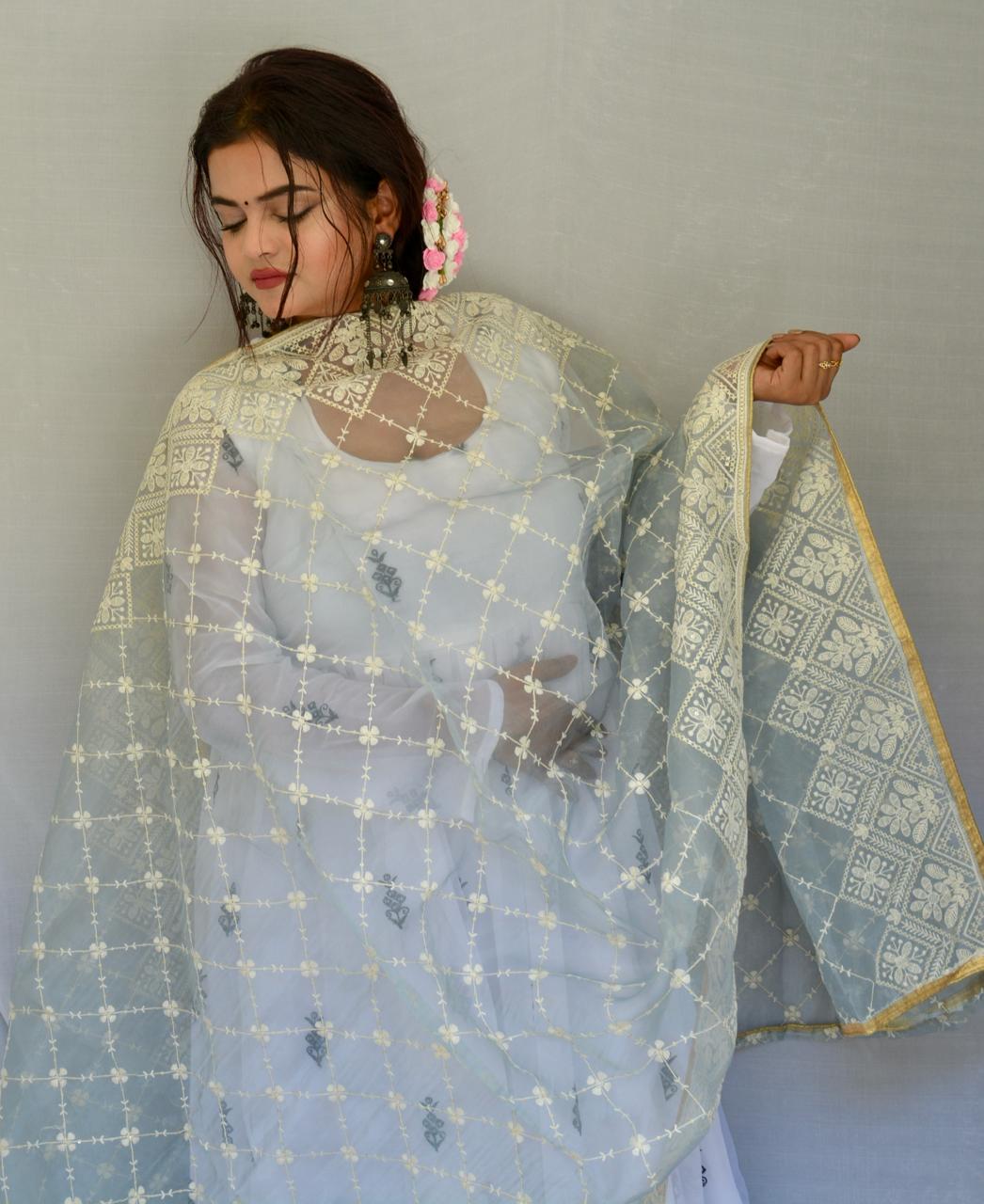 Elegant Baby Blue Organza Embroidered Dupatta | Timeless Ethnic Accessory - Vaaniari