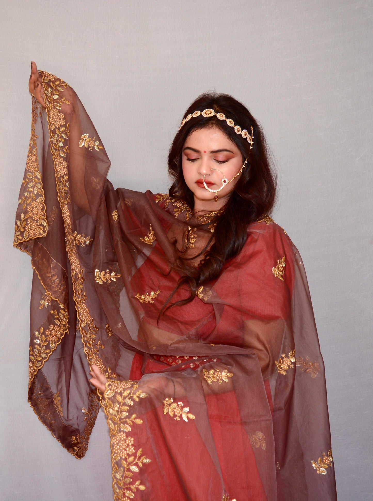 Dusty Brown Zari and Sippi Border Organza Dupatta - Vaaniari