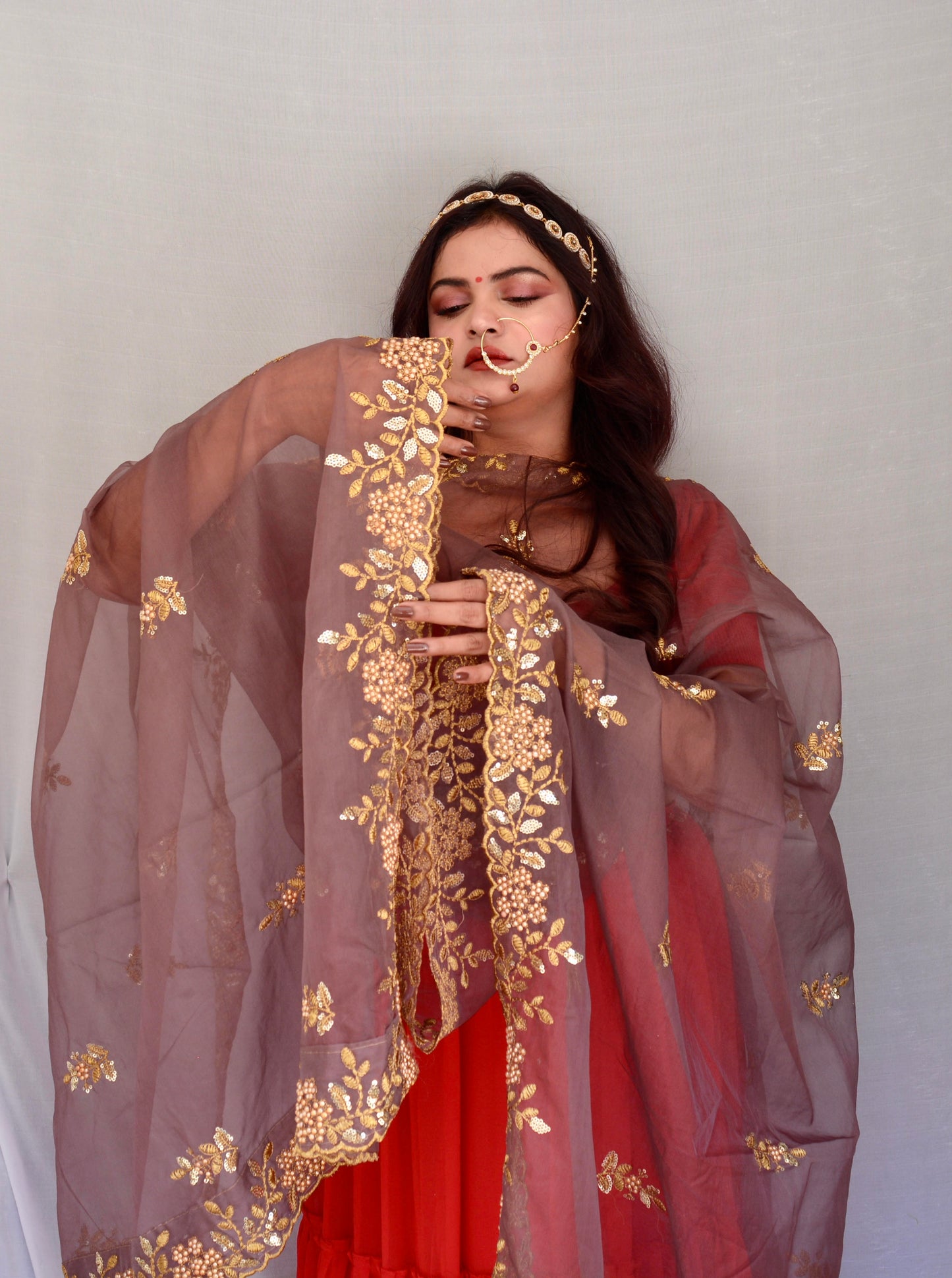 Dusty Brown Zari and Sippi Border Organza Dupatta - Vaaniari