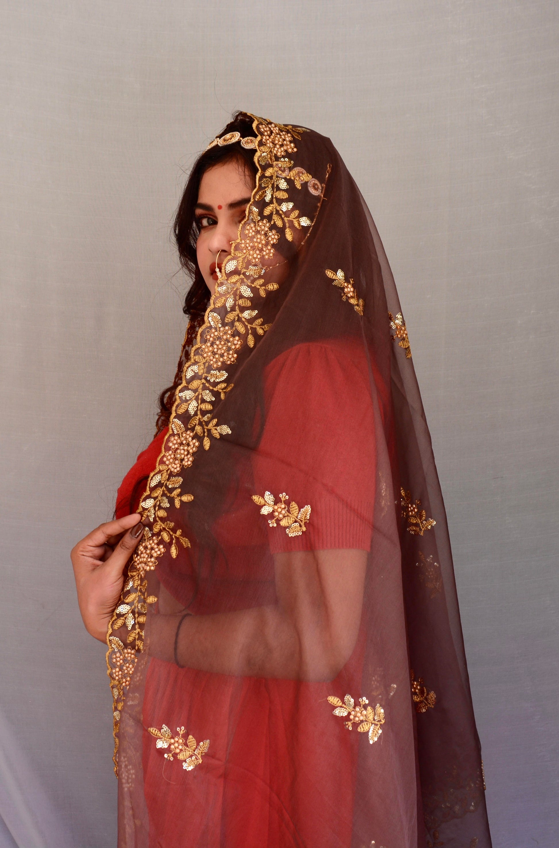 Dusty Brown Zari and Sippi Border Organza Dupatta - Vaaniari