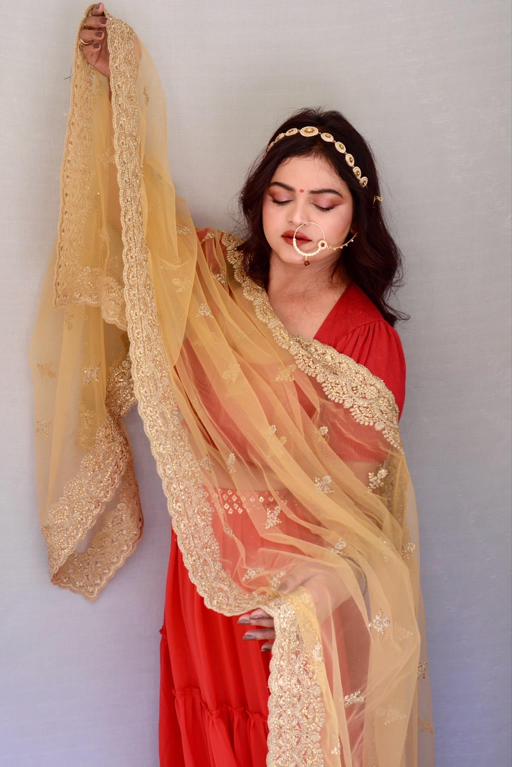 Heavy Zari and stone work Cream Net Dupatta - Vaaniari