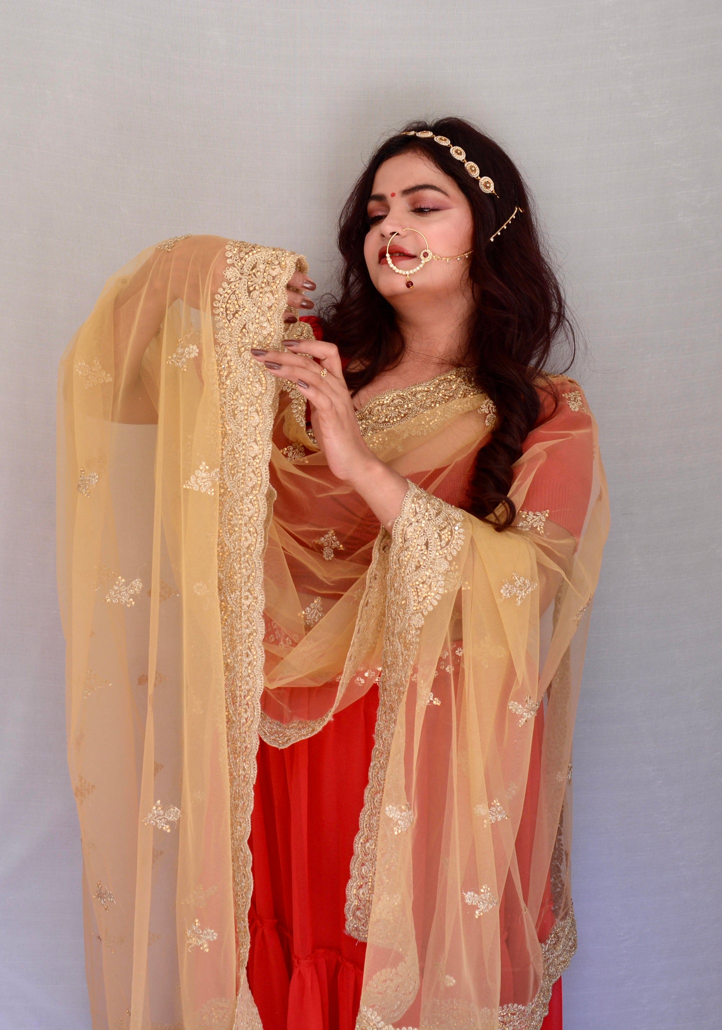 Heavy Zari and stone work Cream Net Dupatta - Vaaniari