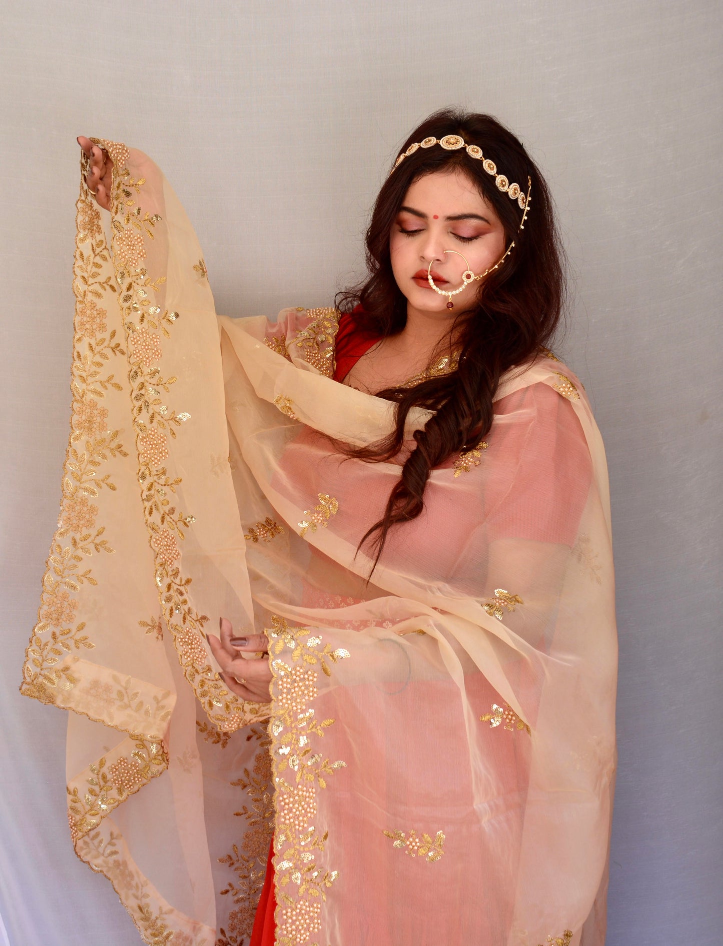 Cream Zari and Sippi Border Organza Dupatta - Vaaniari