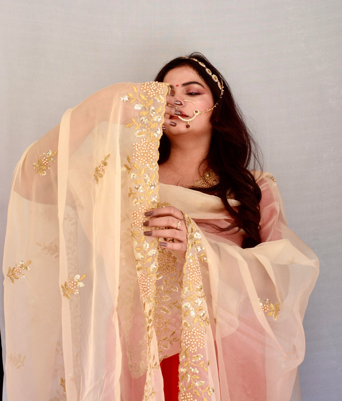 Cream Zari and Sippi Border Organza Dupatta - Vaaniari