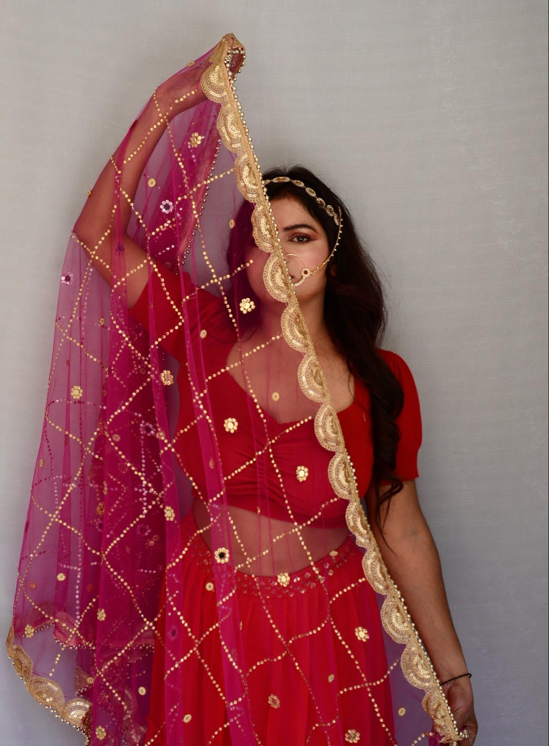 Stone work and Heavy border Pink Net Dupatta - Vaaniari