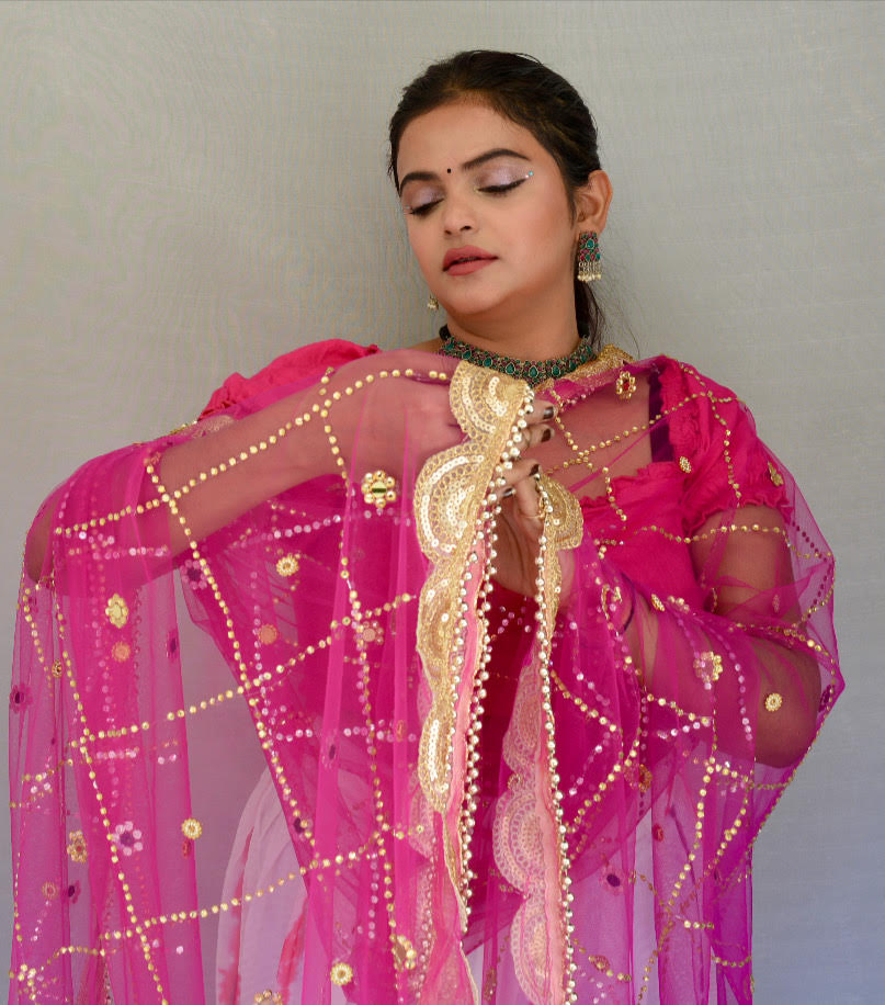 Stone work and Heavy border Pink Net Dupatta - Vaaniari