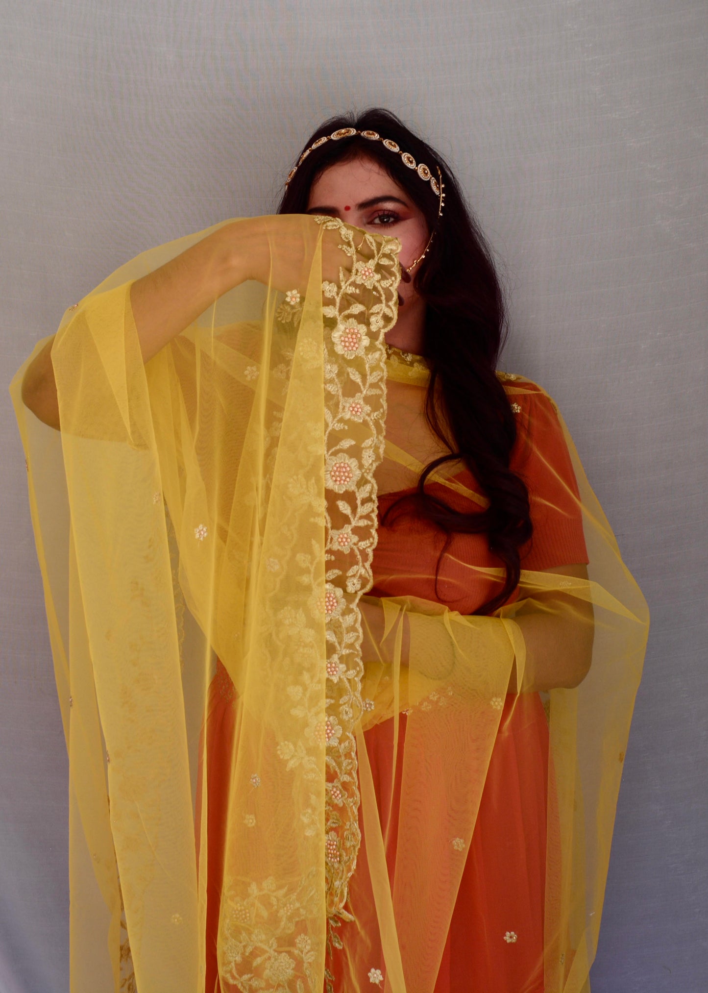 Thread Work Net Yellow Dupatta - Vaaniari